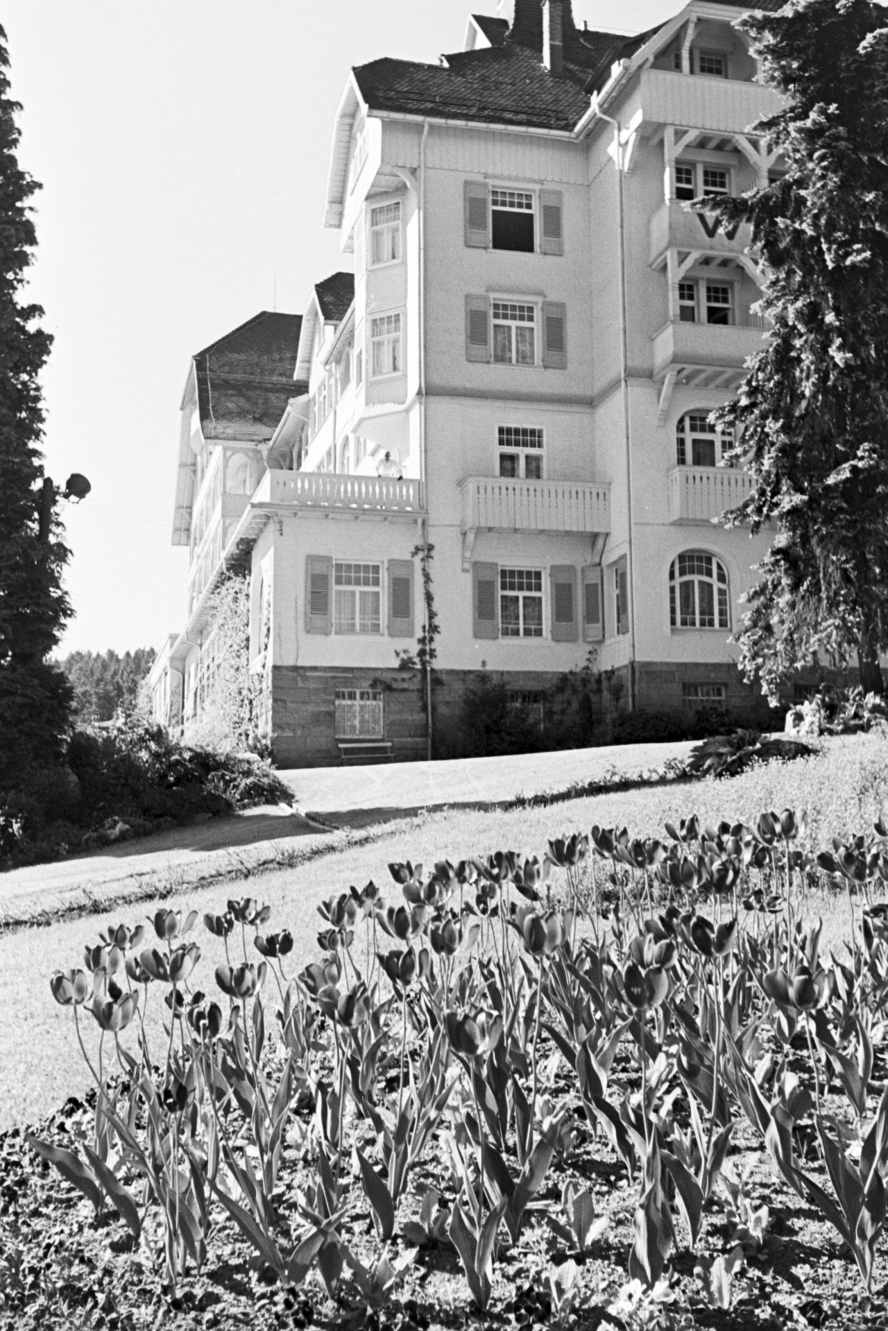 Im Schlosshotel Waldlust in Freudenstadt residierten einst Fürsten, Könige, Sultane. Nach dem Zweiten Weltkrieg wurde das Nobel-Domizil zum Lazarett, danach gab es einige Besitzerwechsel, seit 2005 steht es leer. Schon in den 1960ern sprachen Angestellte davon, dass das Hotel ein Ort "unerlöster Seelen" sei und es dort spuken würde. 