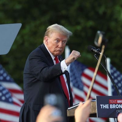Donald Trump auf einer Wahlkampfkundgebung im Crotona Park im New Yorker Stadtteil Bronx