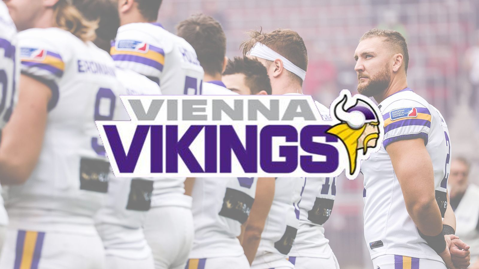 
                <strong>Vienna Vikings</strong><br>
                
              
