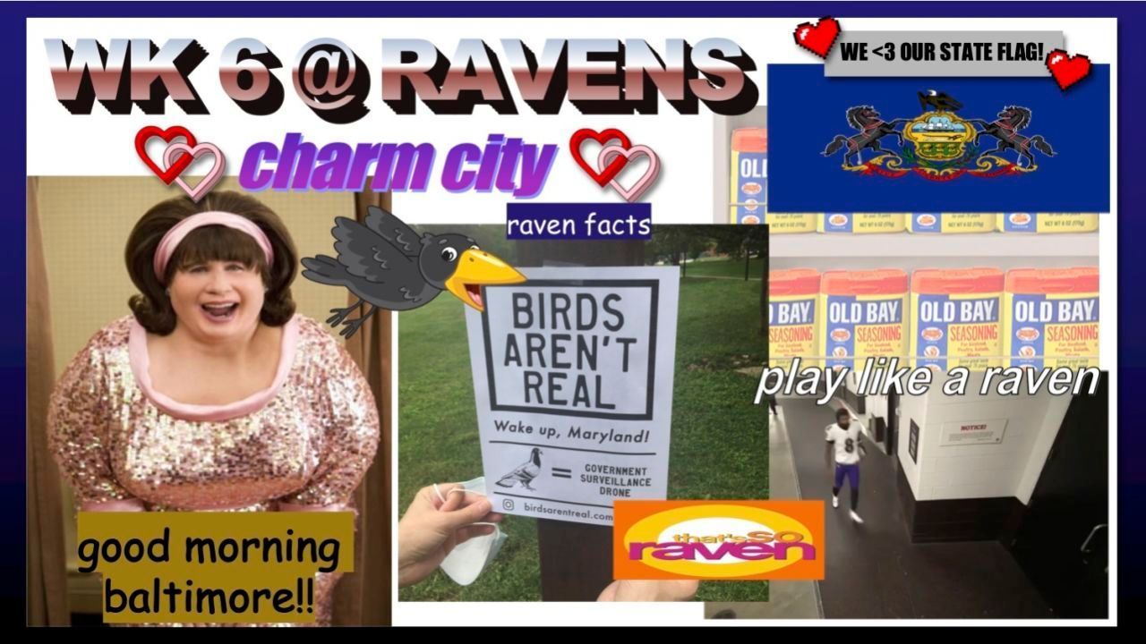 
                <strong>Week 6: @ Baltimore Ravens</strong><br>
                Verschwörungstheorien haben offenbar auch im US-Bundesstaat Maryland Hochkonjunktur, wie auch Bosa nicht entgangen ist. 
              