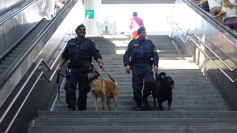 Gemeinsam mit der Wiener Polizei geht es für die Spürnasen unter anderem auf zivile Suchtgift-Streifen durch die Stadt.