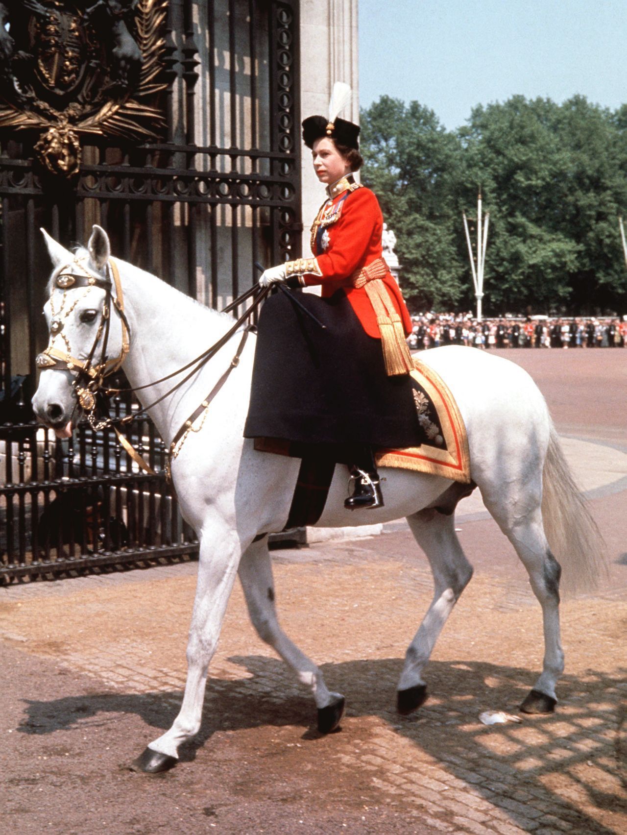 Die Queen ohne ihre Pferde? Undenkbar. Seit ihrer Kindheit war sie eine leidenschaftliche Reiterin. Sogar die Kunst des Damensattels beherrschte sie. Vergangenes Jahr ritt sie auch mit 95 Jahren noch spazieren.