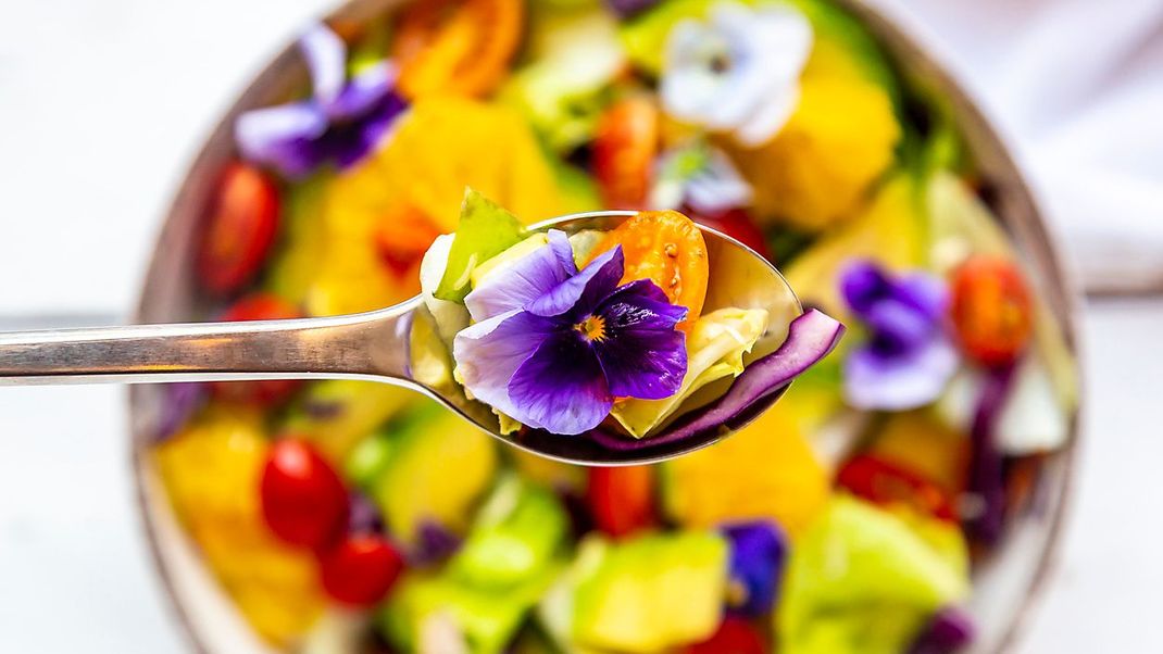 Schon mal Hornveilchen im Salat probiert?