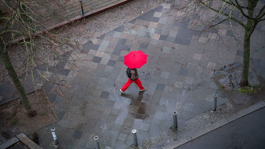 Regen, Schnee oder frühlingshaftes Wetter - die Prognose für den Februar.