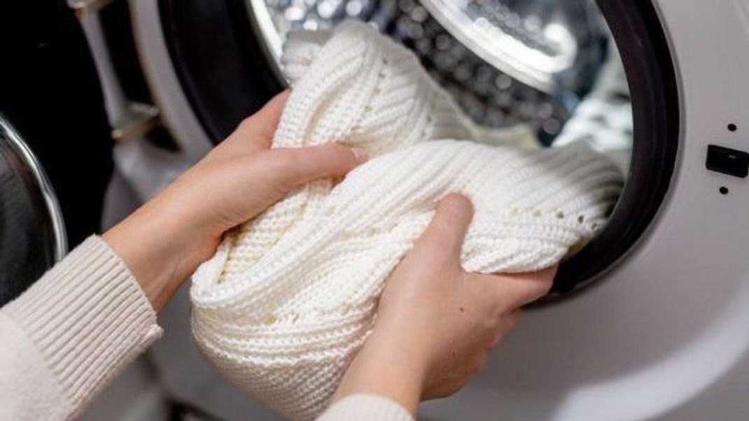 60 Grad in der Waschmaschine: Das überleben Teppichkäfer-Larven und -Eier auf Textilien nicht.
