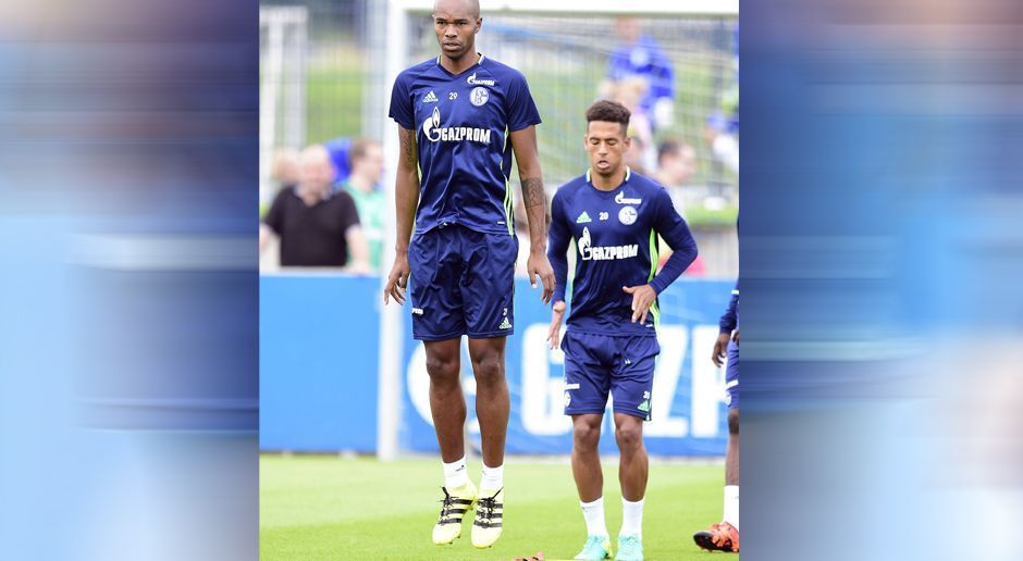 
                <strong>FC Schalke 04</strong><br>
                ...Genauso wie Innenverteidiger Naldo. Sie halten sich vom 1. - 8. August in Mittersill/Österreich. Zum Team stoßen werden dann auch die Neuzugänge Coke und Abdul Rahman Baba.
              