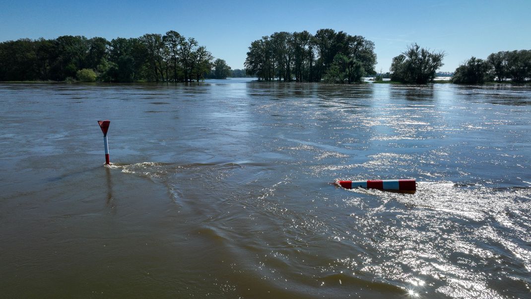 Die Elbe bei Wittenberg war zuletzt weit über ihre Ufer getreten und hatte die Elbwiesen weiträumig überflutet (Drohnenfoto).