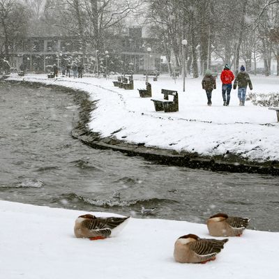 GERMANY-WEATHER/