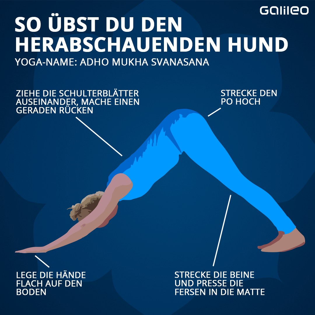 Yoga-Übungen: Herabschauender Hund