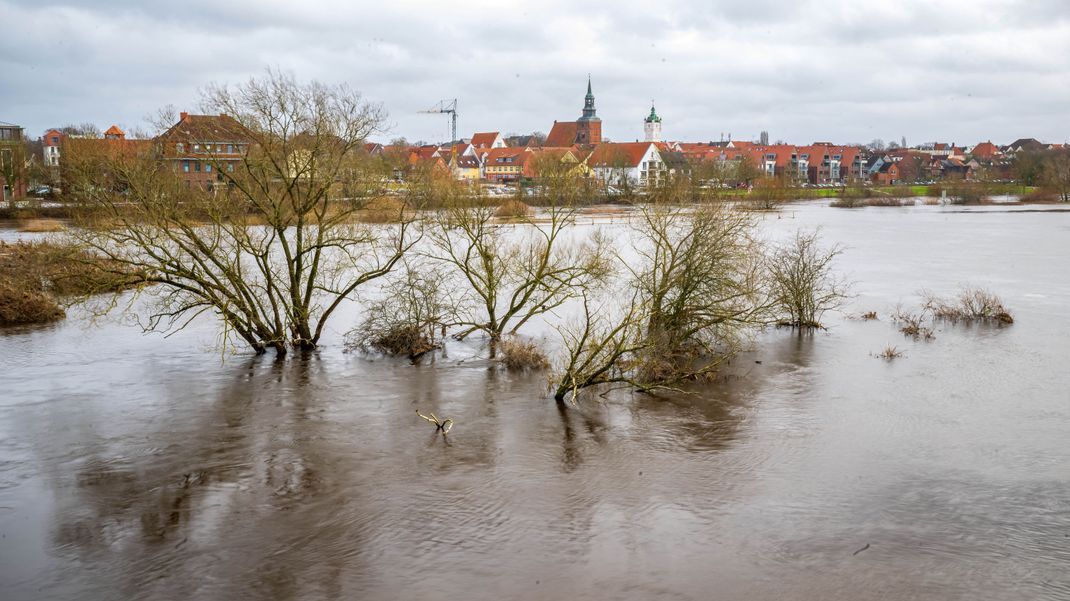 Viele Gebiete in Deutschland sind von Hochwasser bedroht. Rund 320.000 Adressen seien betroffen.