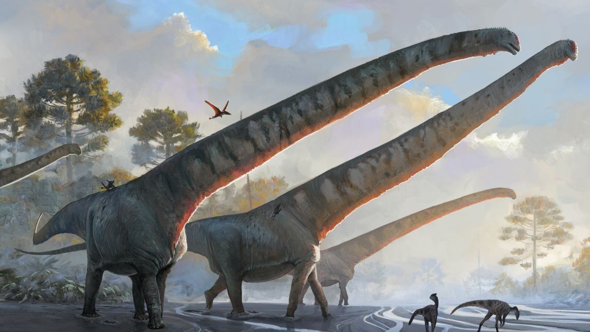 Mamenchisaurus sinocanadorums Dinosaurier