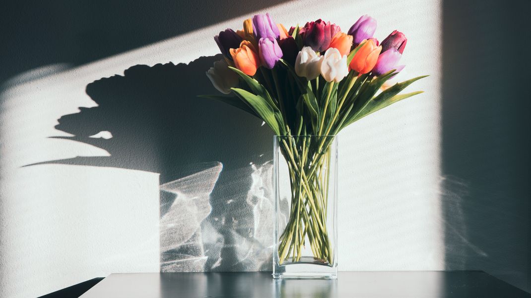 Sie symbolisieren den Einzug des Frühlings: Tulpen erfreuen uns in bunten Farben und spannenden Formen.