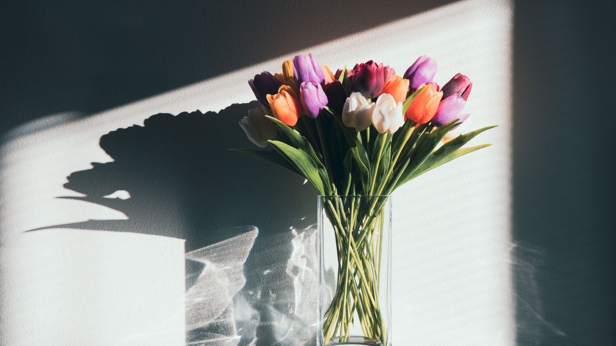 So halten Tulpen länger in der Vase