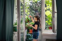 Gärtnern auf dem Balkon: Gemüse selber anbauen