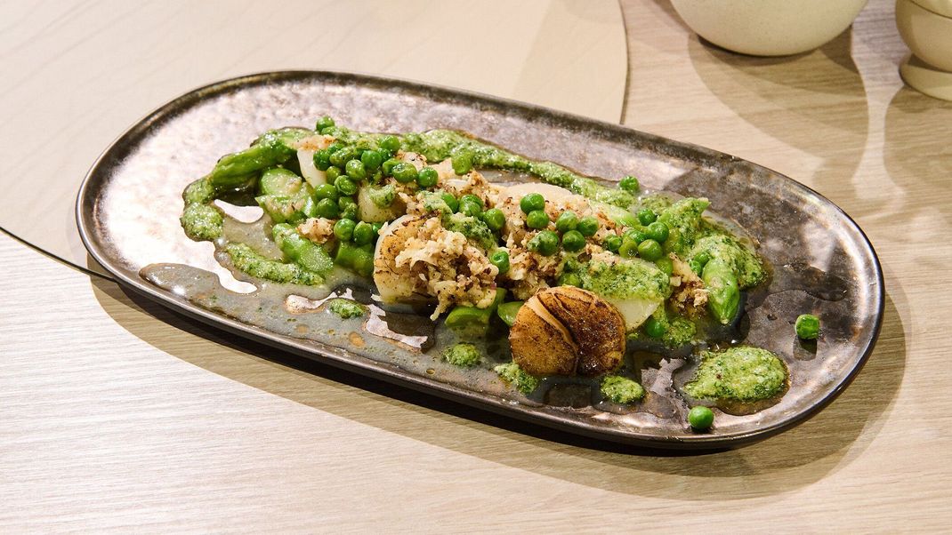 Geflämmte Jakobsmuscheln mit Blumenkohl, glasierten Erbsen, mariniertem grünen Spargel und Rucola-Pesto.