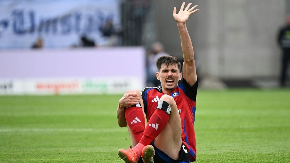Verletzt: HSV-Innenverteidiger Dennis Hadzikadunic