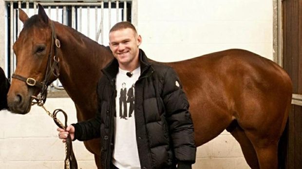 
                <strong>Wayne Rooney</strong><br>
                Wayne Rooney: Wer kennt das Problem nicht: Was soll man seinem Partner nur zu Weihnachten schenken? Wayne Rooney und seine Ehefrau Coleen haben sich gegenseitig Rennpferde geschenkt. Die Kosten für die beiden Hengste sollen sich auf rund 120.000 Euro belaufen haben. 
              