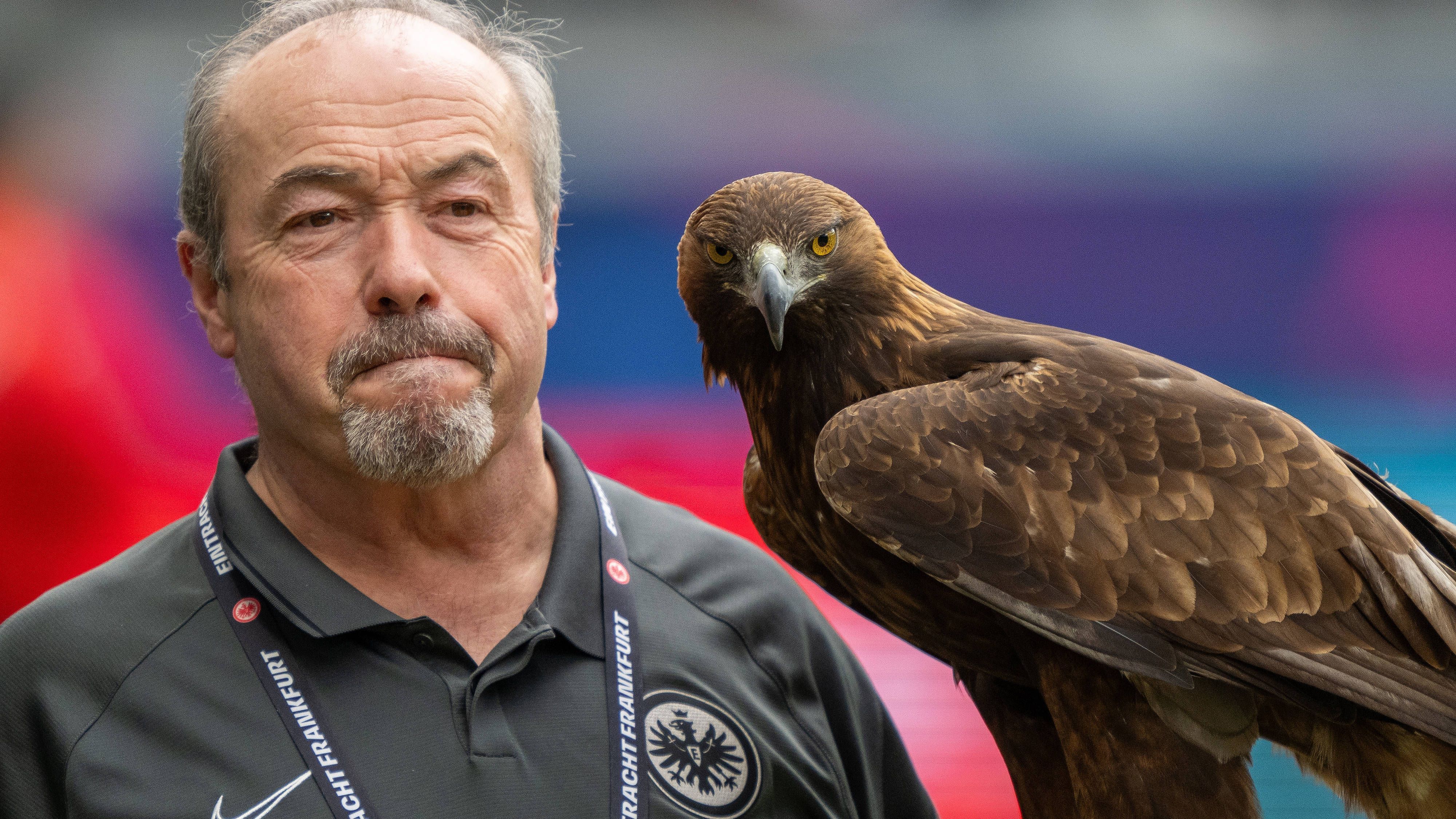 <strong>Eintracht Frankfurt: Attila</strong><br>Nach dem Abstieg des 1. FC Köln und der Vereinslegende Hennes ist das SGE-Maskottchen das einzige lebende Maskottchen der Liga. Steinadler Attila kreist in Frankfurt über dem Spielfeld.