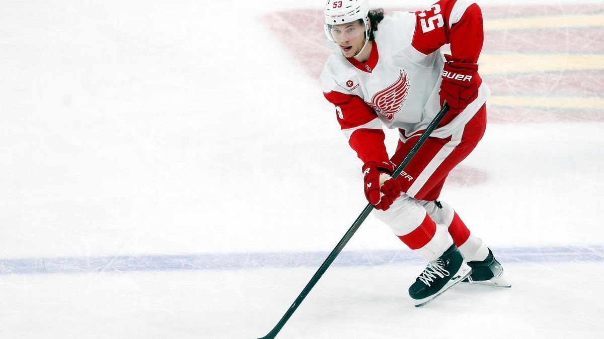 NHL, Eishockey Herren, USA Detroit Red Wings at Pittsburgh Penguins Mar 17, 2024; Pittsburgh, Pennsylvania, USA; Detroit Red Wings defenseman Moritz Seider (53) handles the puck against the Pittsbu...