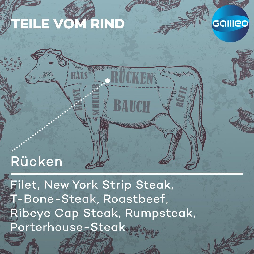 Teile vom Rind: Welcher Cut wird aus welchem Fleischteil gewonnen? 