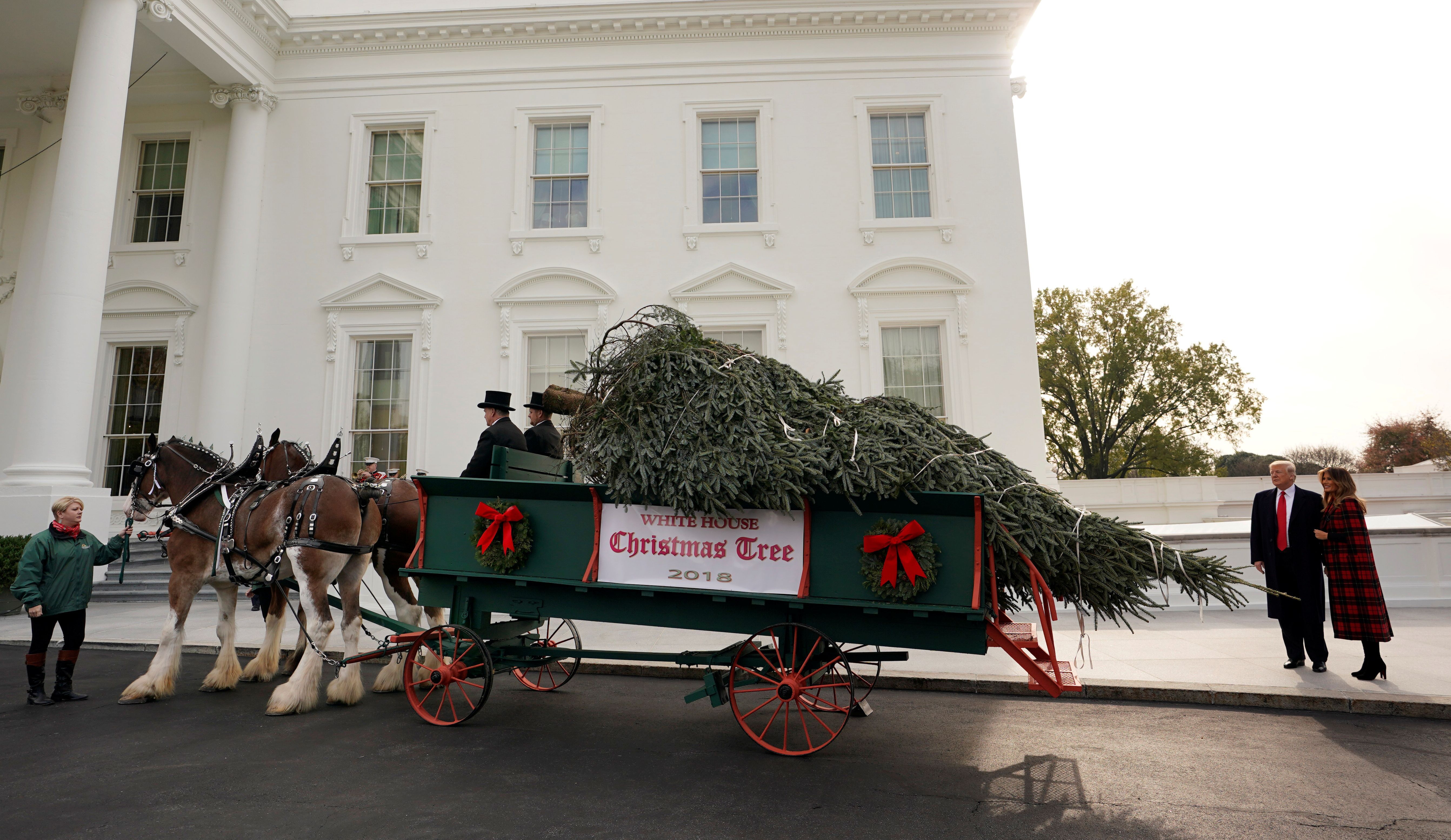 2018 nimmt Melania gemeinsam mit ihrem Mann Donald Trump den Weihnachtsbaum in Empfang.