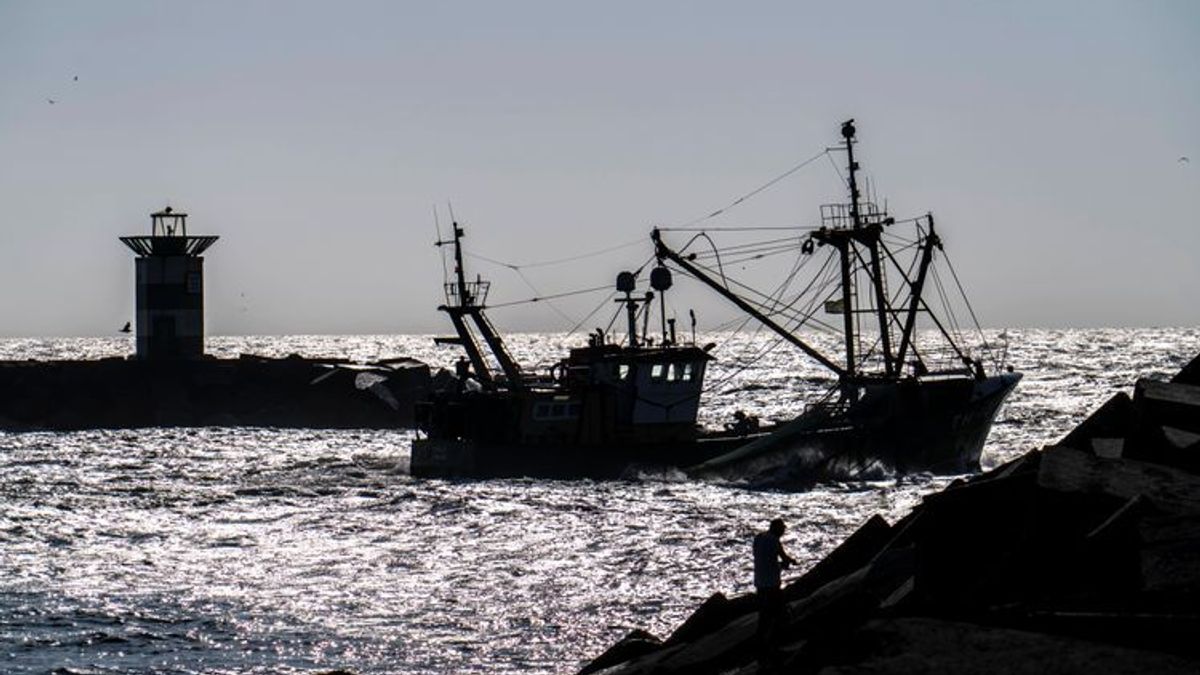Sechster IPCC-Bericht: Wie der Klimawandel den Fischfang beeinträchtigt