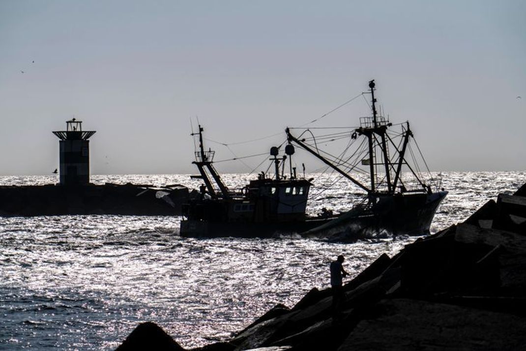 Sechster IPCC-Bericht: Wie der Klimawandel den Fischfang beeinträchtigt