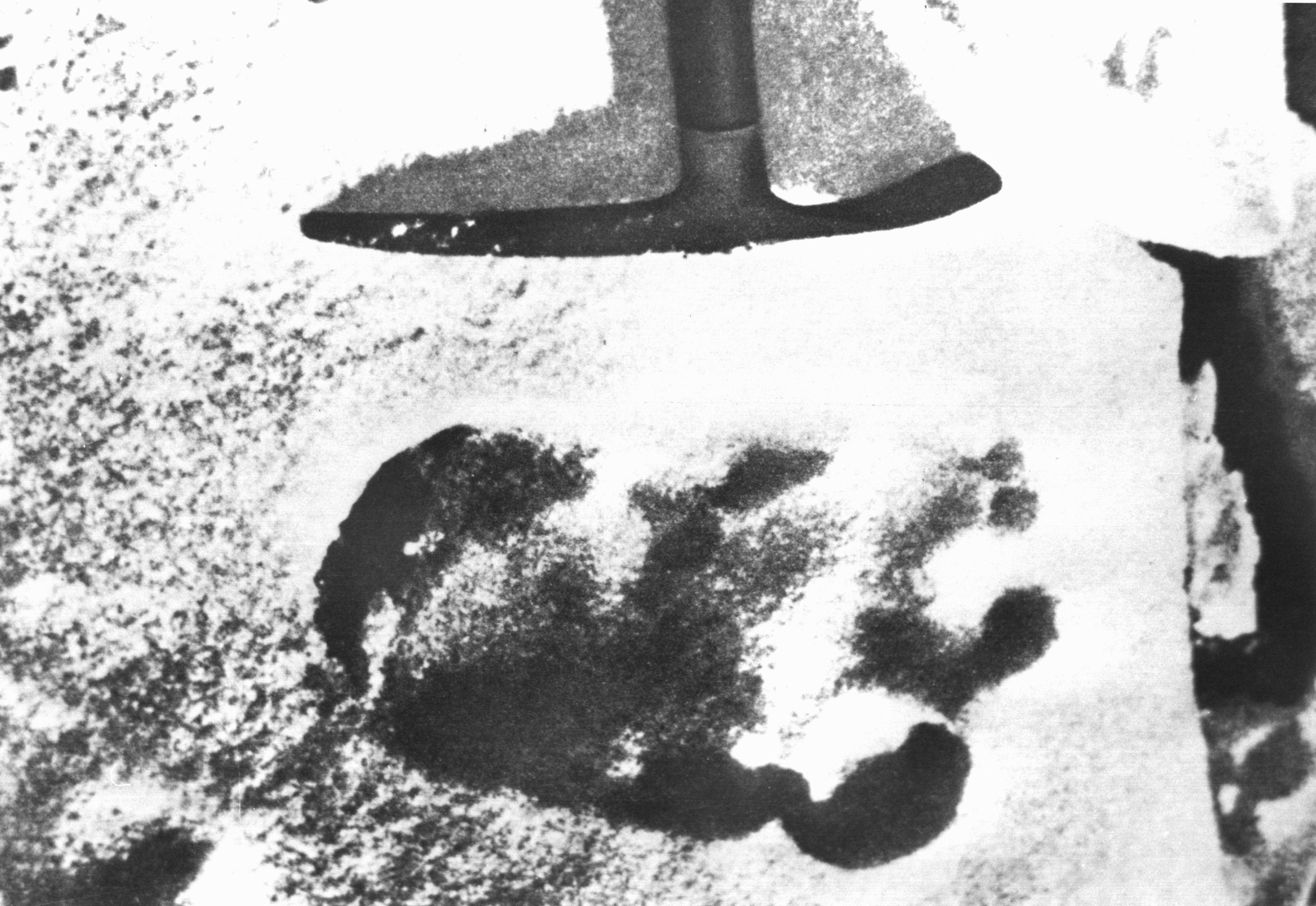 Bereits in den 50ern entdeckten BergsteigerInnen erste vermeintliche Fußspuren vom Yeti