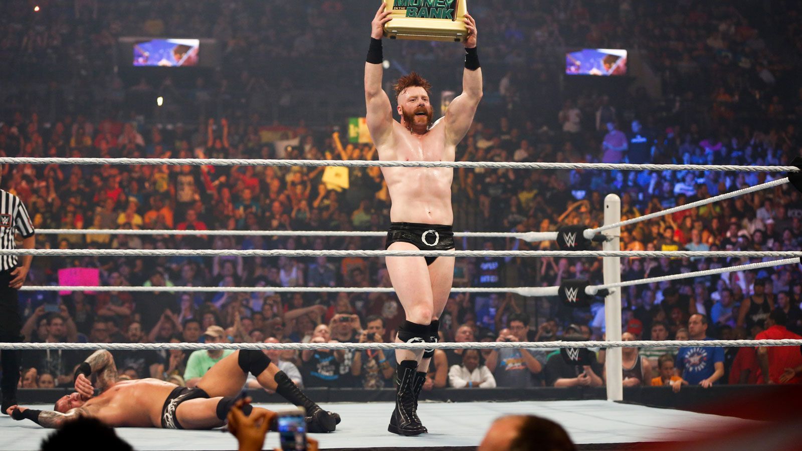 
                <strong>Sheamus: IT-Techniker</strong><br>
                Der irische Wrestler, bürgerlich bekannt unter den Namen Stephen Farrelly, ist bis heute der einzige Weltmeister von der grünen Insel. Wie viele andere Stars vor ihm ging auch "Sheamus" früher einem ganz gewöhnlichen Beruf nach. Bevor er sich in den WWE-Ring stürzte, war der Ire als IT-Techniker angestellt und verdiente sich so seinen Unterhalt. Zudem fungierte er auch einige Mal als Bodyguard von Bono, dem Sänger der Band "U2".
              