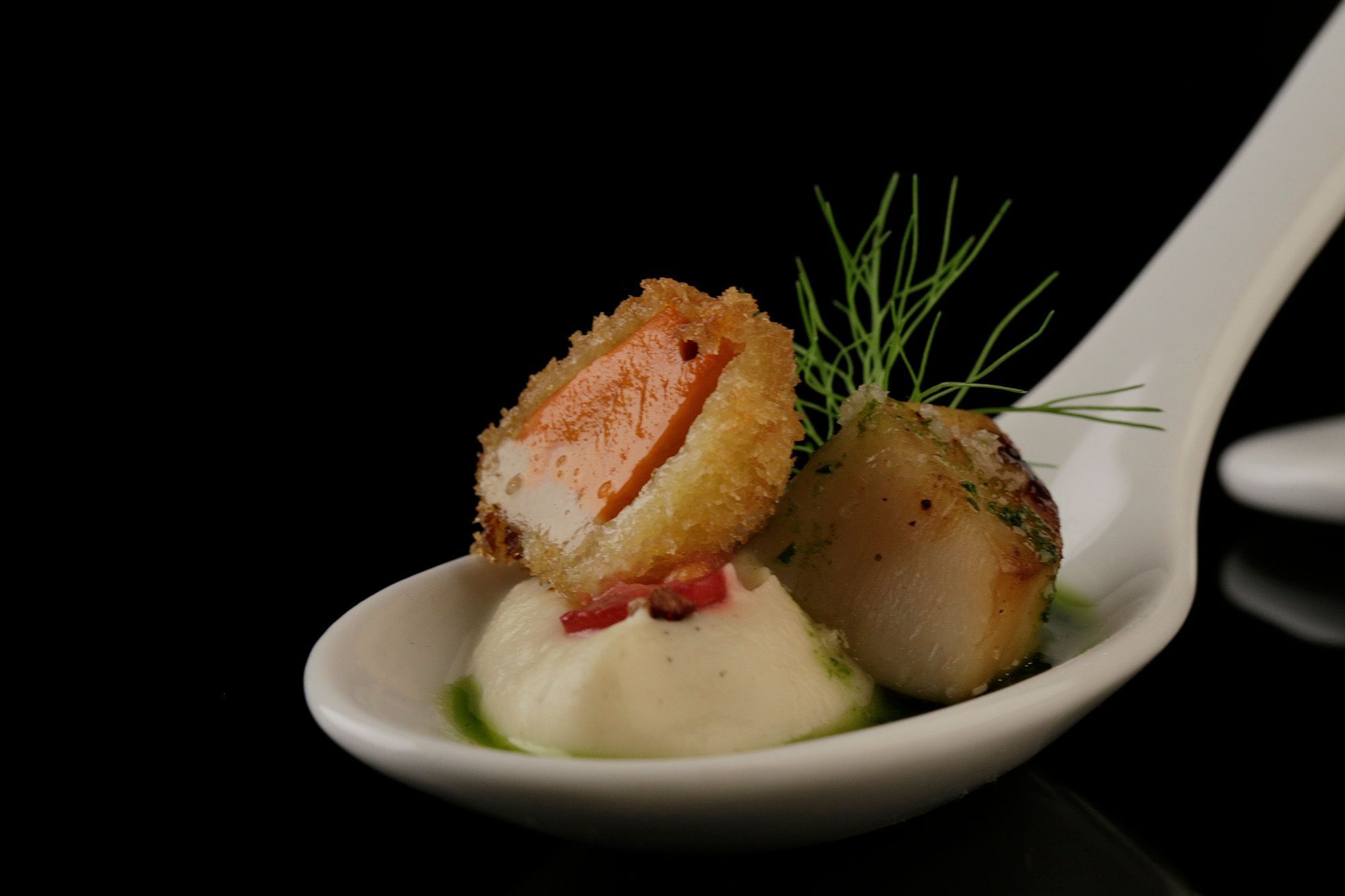 Jakobsmuschel, Sellerie-Fenchel-Püree, Johannisbeeren