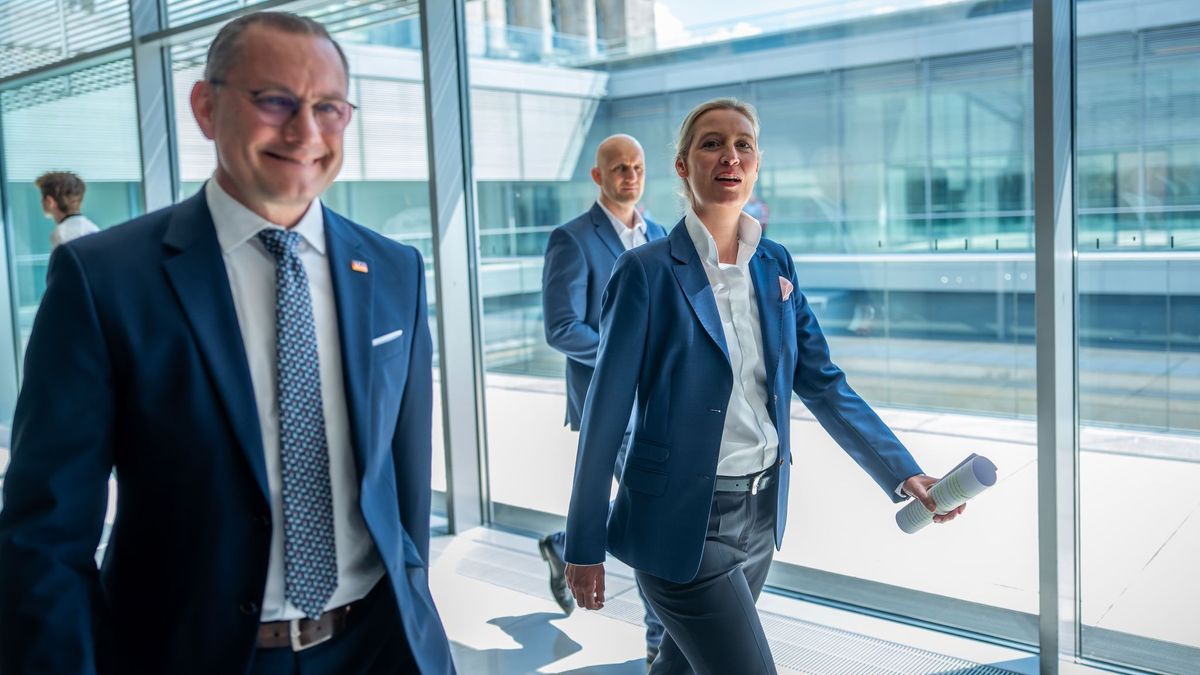 AfD-Chefs Tino Chrupalla (l.) und Alice Weidel (Archivbild)