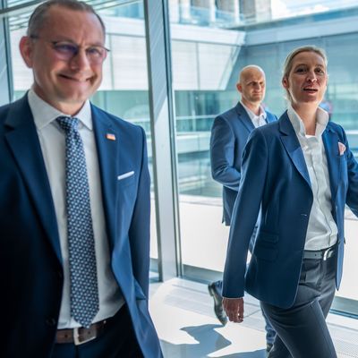 AfD-Chefs Tino Chrupalla (l.) und Alice Weidel (Archivbild)