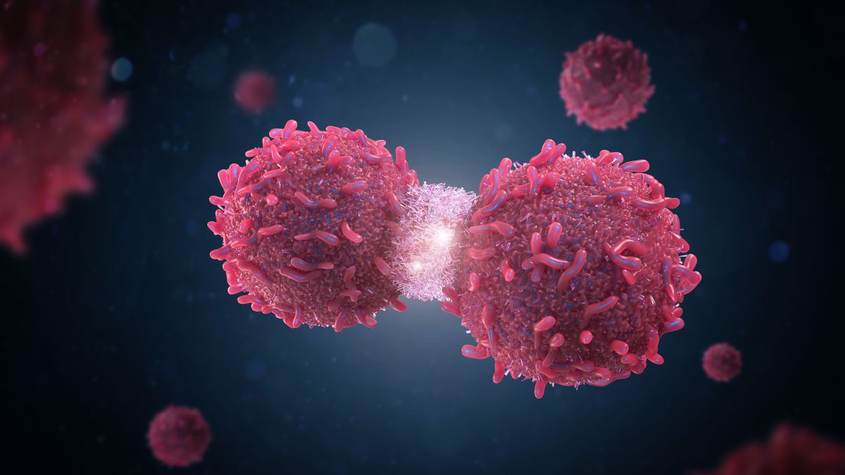 Cancer cell divide or spread out