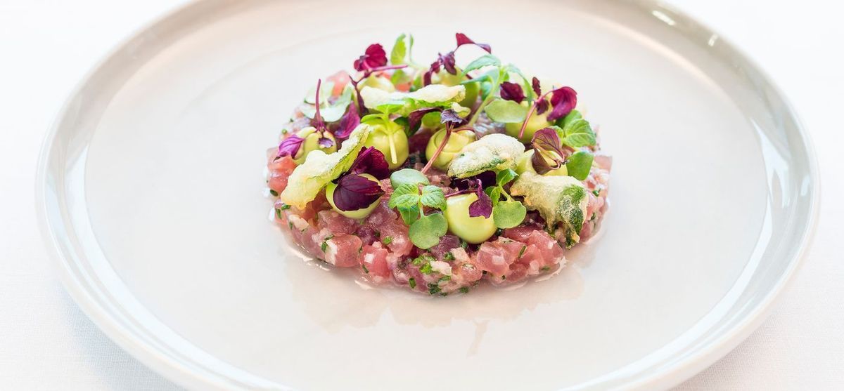 Yellow Fin Thunfischtatar mit Yuzu – Ponze Emulsion, Kräutersalat und Avocadocreme