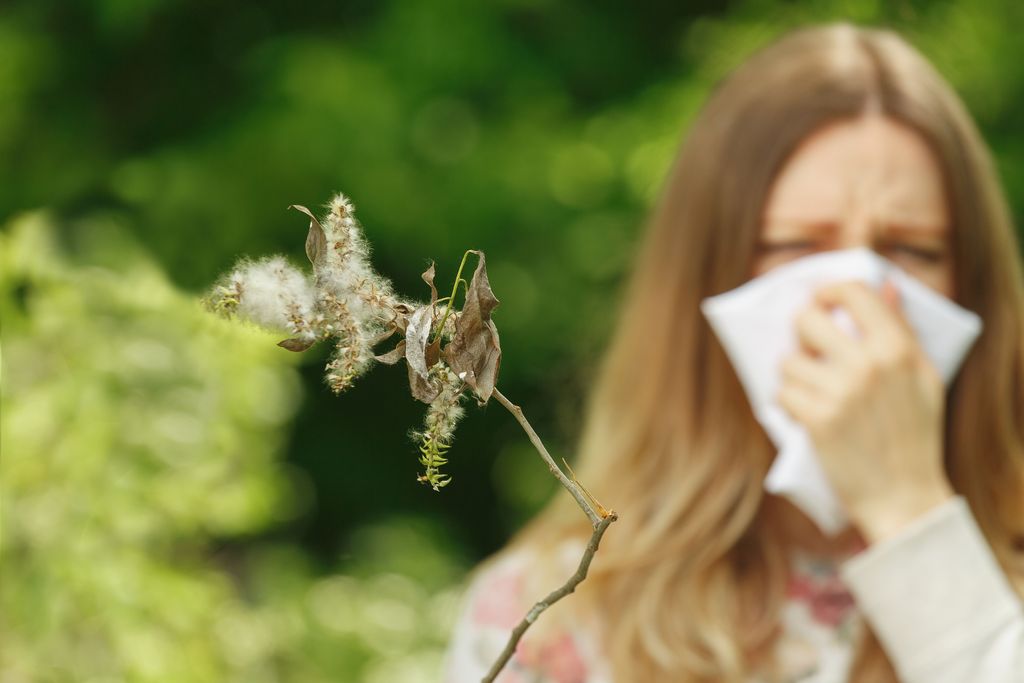 Here's what you can do about allergies