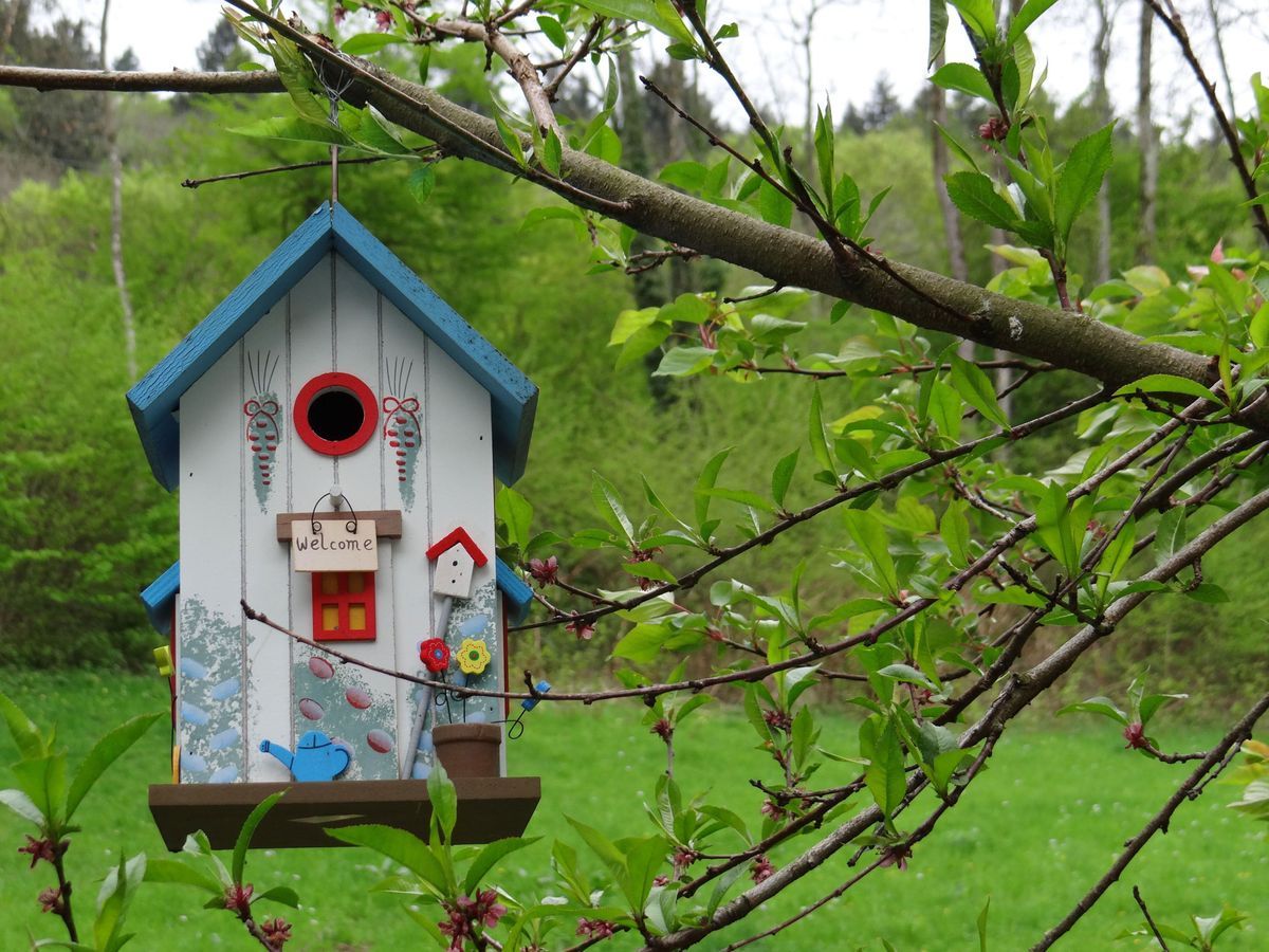 Vogelhaus-Nistkasten-pixabay