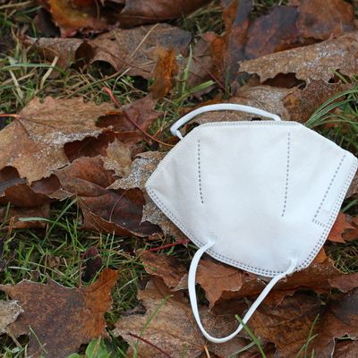 A used but clean medical respirator lies on the ground in the grass and autumn leaves in the hoarfrost. Late fall, early winter, frost.