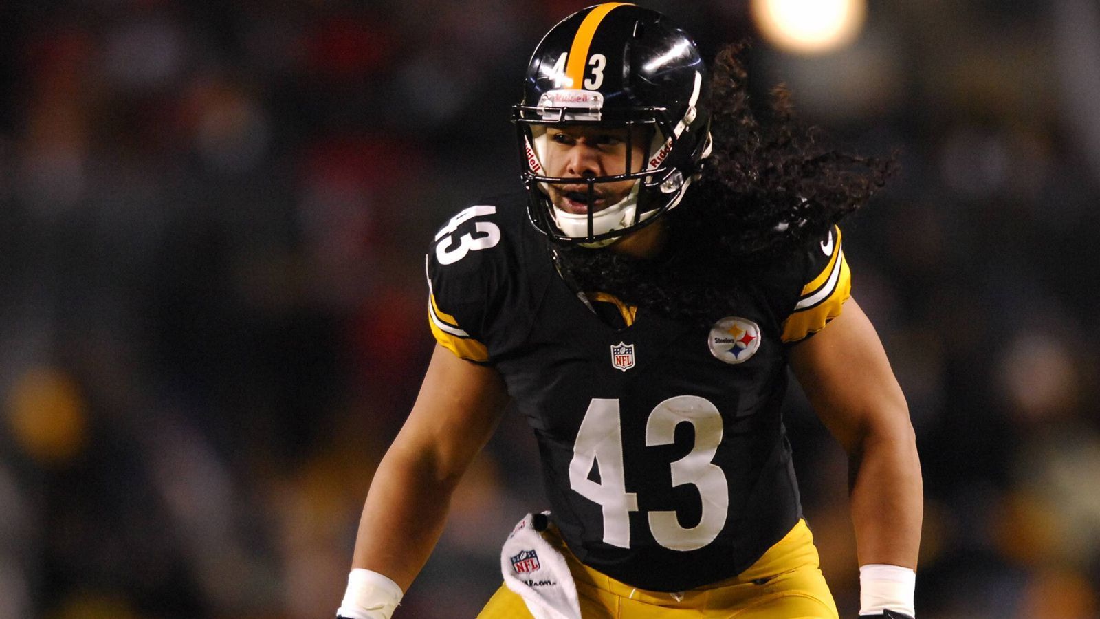 
                <strong>Hall of Fame Class</strong><br>
                Troy Polamalu (Safety, im Bild), Edgerrin James (Running Back), Steve Awater (Safety), Steve Hutchinson (Guard), Isaac Bruce (Wide Receiver)
              