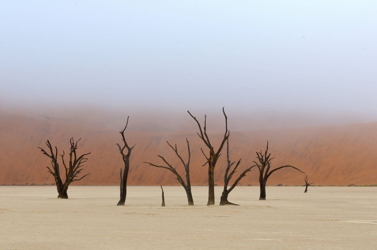 Die Namib-Wüste zwischen Angola, Namibia und Südafrika zählt ebenfalls zu den Nebelwüsten. Hier kommen die Schwaden vom Atlantik.