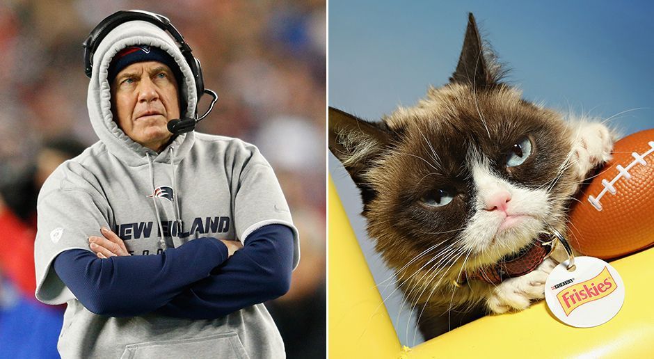 
                <strong>Bill "Grumpy" Belichick</strong><br>
                Bill Belichicks Laune macht selbst der legendären Grumpy Cat (re.) Konkurrenz. Dabei ist seine Art, wenn man sie mit einer Prise Humor betrachtet, durchaus unterhaltsam. Außerdem ist sein grauer Hoodie mittlerweile Kult in der NFL. Ob Belichick großer Star-Wars-Fan ist oder einfach nur gerne komfortable Kleidung am Spielfeldrand trägt, ist übrigens nicht bekannt.
              