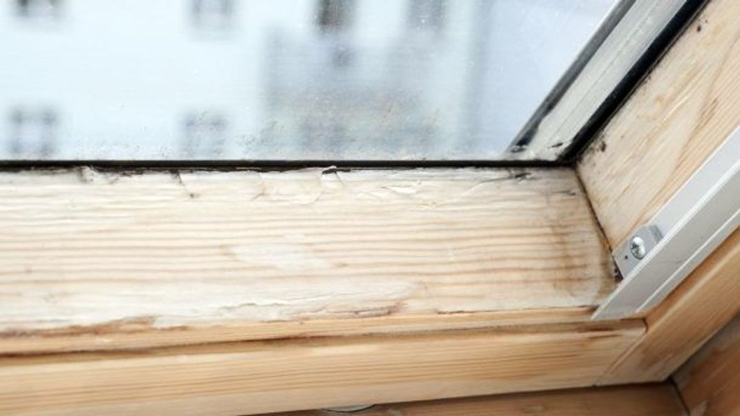 An Holz-Dachfenstern erkennst du die angesammelte Feuchtigkeit von Innen in der Regel schnell, da das Holz beschädigt und mit der Zeit morsch wird.