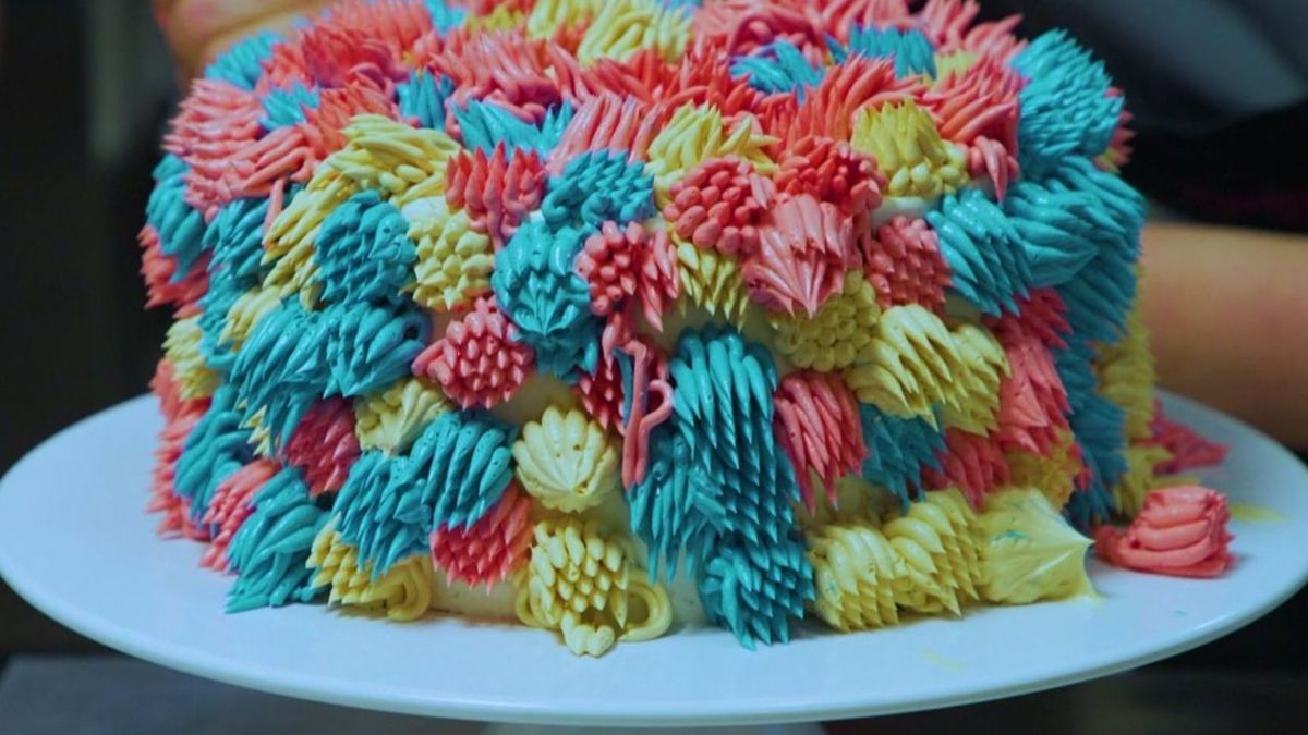 Shag Rug Cake 2