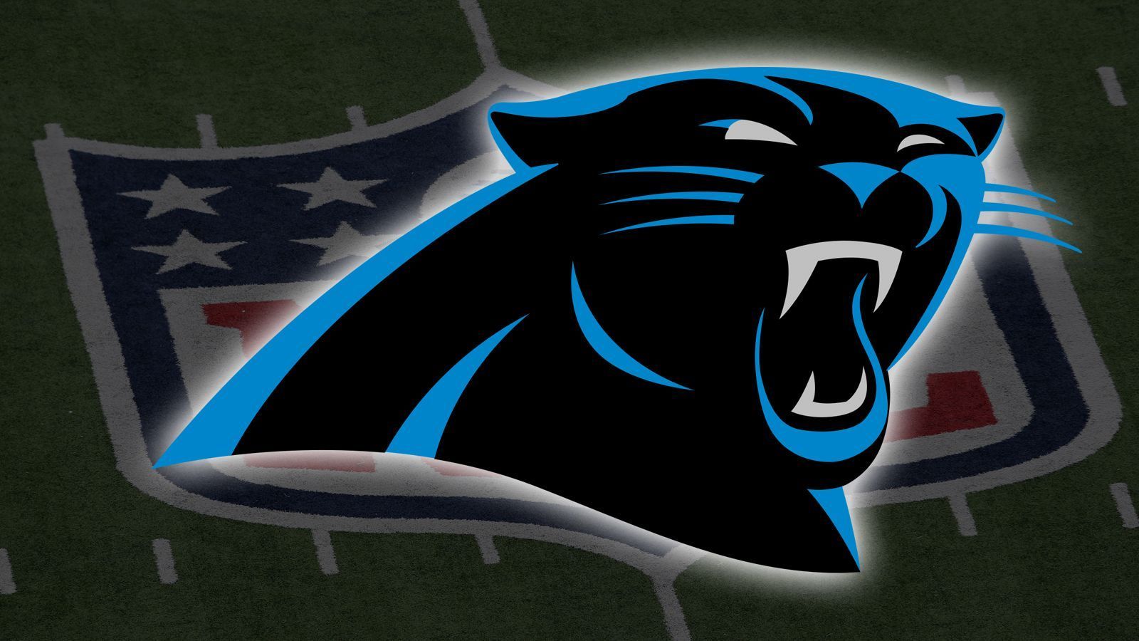 
                <strong>Carolina Panthers</strong><br>
                
              