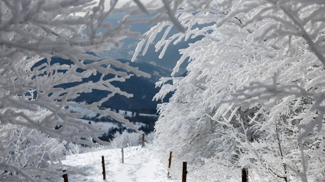 In der nächsten Woche könnte es in Niedersachsen bis zu 40 Zentimeter Neuschnee geben. (Symbolbild)