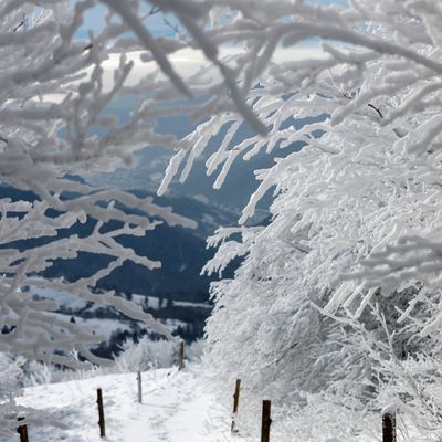 Berechnung: Schneewalze vom Emsland bis Sachsen