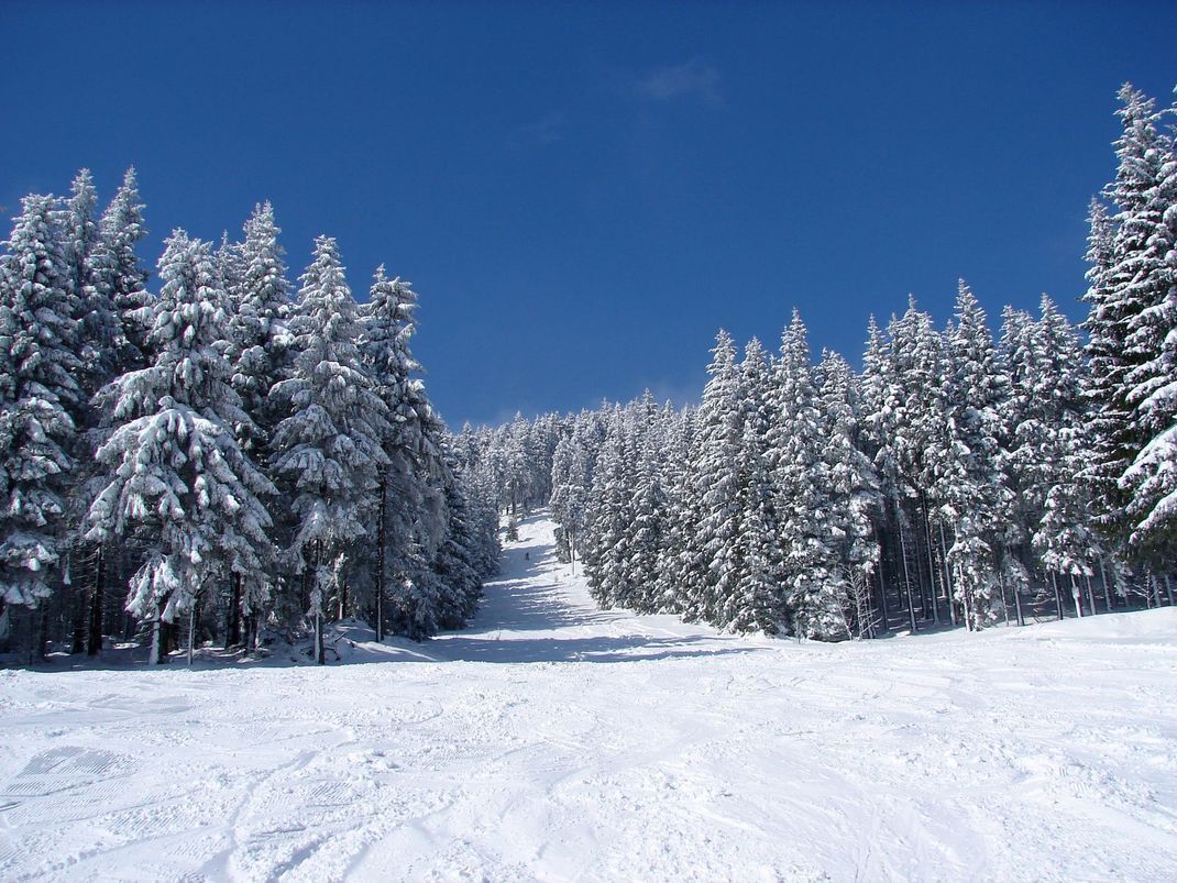 Auch die Skipisten in der Region sind sehr beliebt und locken Klein und Groß in den Schnee.