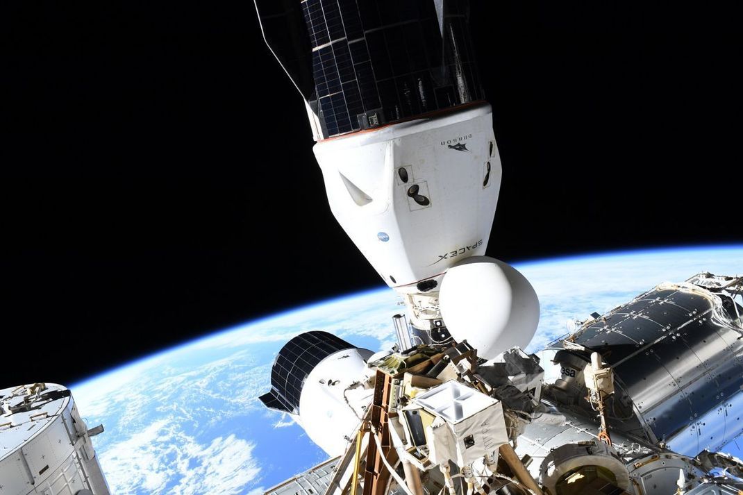 Mittlerweile nutzt die NASA den Crew Dragon und dessen unbemanntes Pendant als Weltraumtaxi. Das Raumschiff fliegt Astronauten und Astronautinnen sowie Fracht zur ISS. Im Bild: Im September 2021 dockten gleich 2 Dragons zur selben Zeit an die Station: oben der Crew Dragon "Endeavour", unten ein Versorgungs-Dragon - der unter anderem Eiscreme mit auf die ISS brachte.