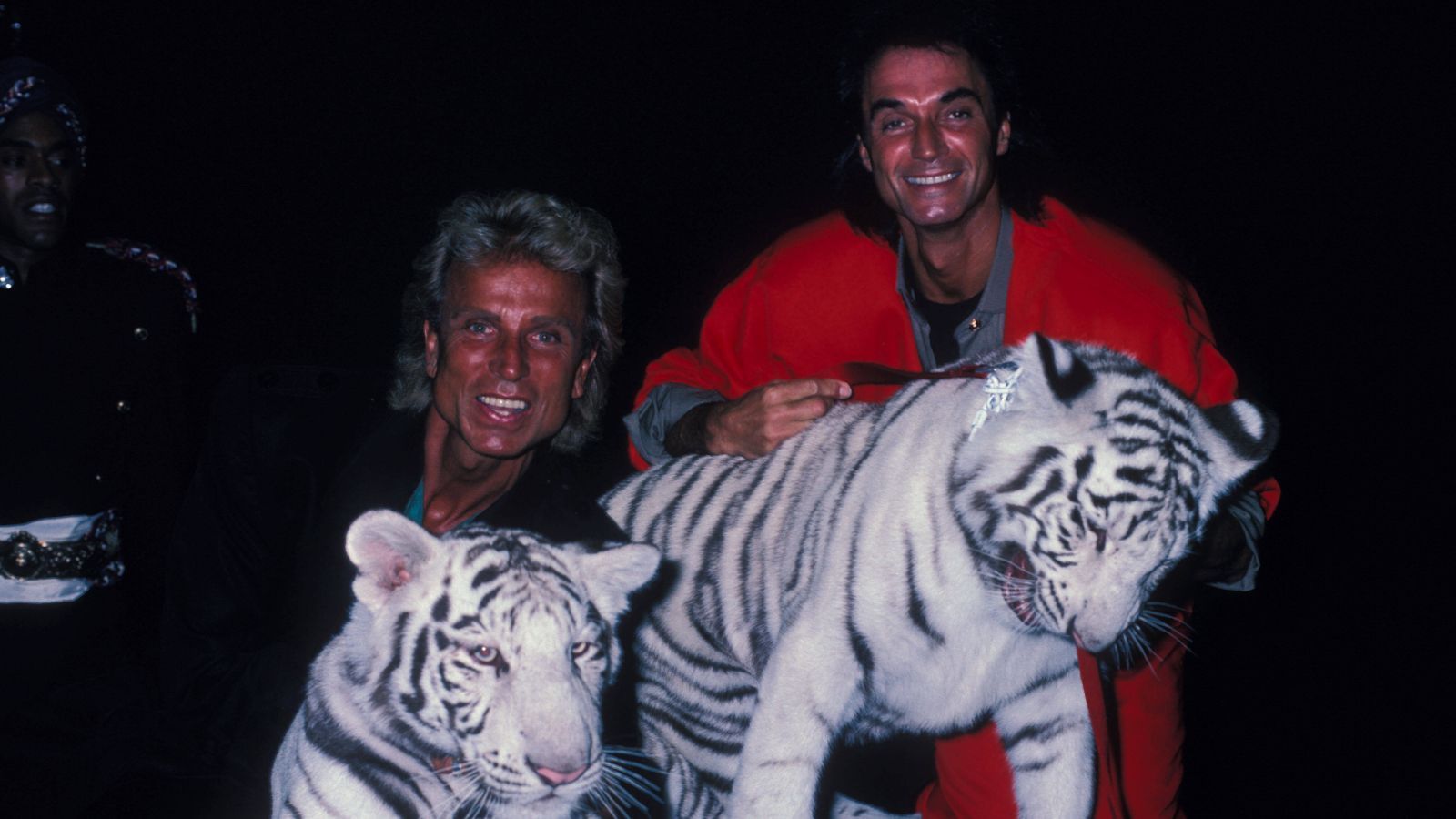 
                <strong>Roy Horn wird von einem seiner Tiger angegriffen</strong><br>
                Im Oktober 2003 ereignet sich in Las Vegas ein dramatischer Unfall. Das Zauberduo Siegfried und Roy zeigt eine einstudierte Nummer mit zwei weißen Bengaltigern. Dabei wird Roy Horn schwer verletzt, er überlebt jedoch. Im Frühling 2020 stirbt Roy Horn an den Folgen einer Covid-19-Erkrankung.
              