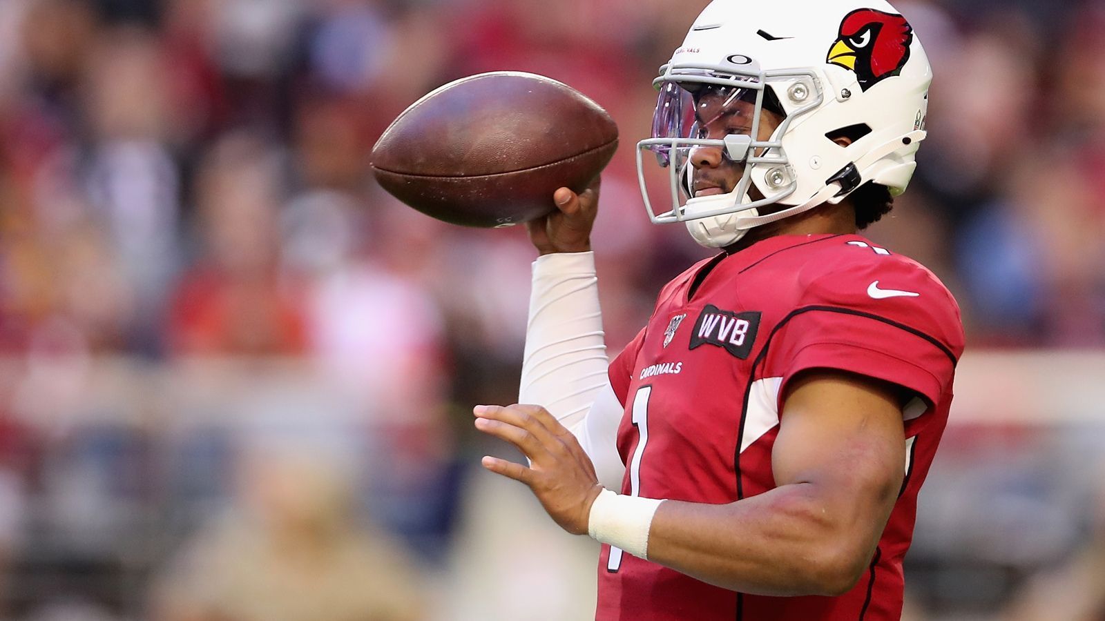 
                <strong>Arizona Cardinals</strong><br>
                Ausgeschieden nach Woche 13NFC West:1. San Francisco 49ers (10-2) 2. Seattle Seahawks (10-2)3. Los Angeles Rams (7-5)4. Arizona Cardinals (3-8-1)
              