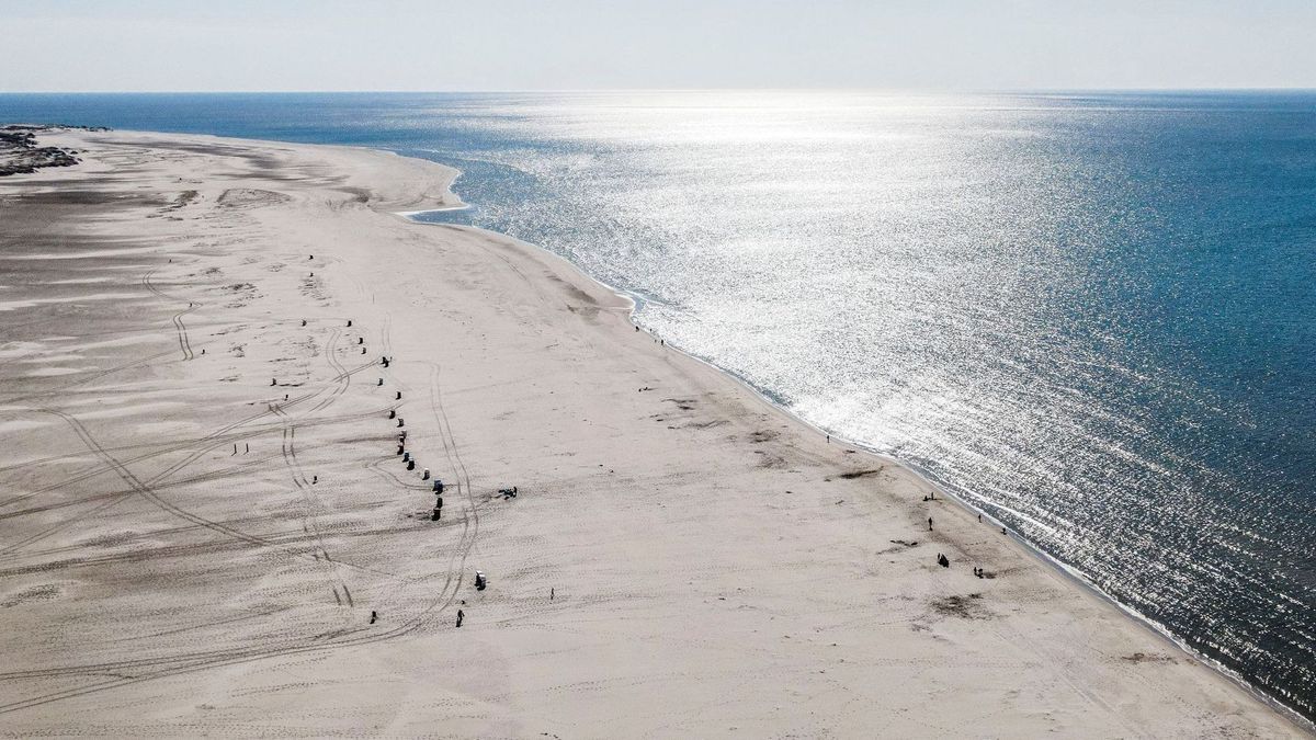 Amrum